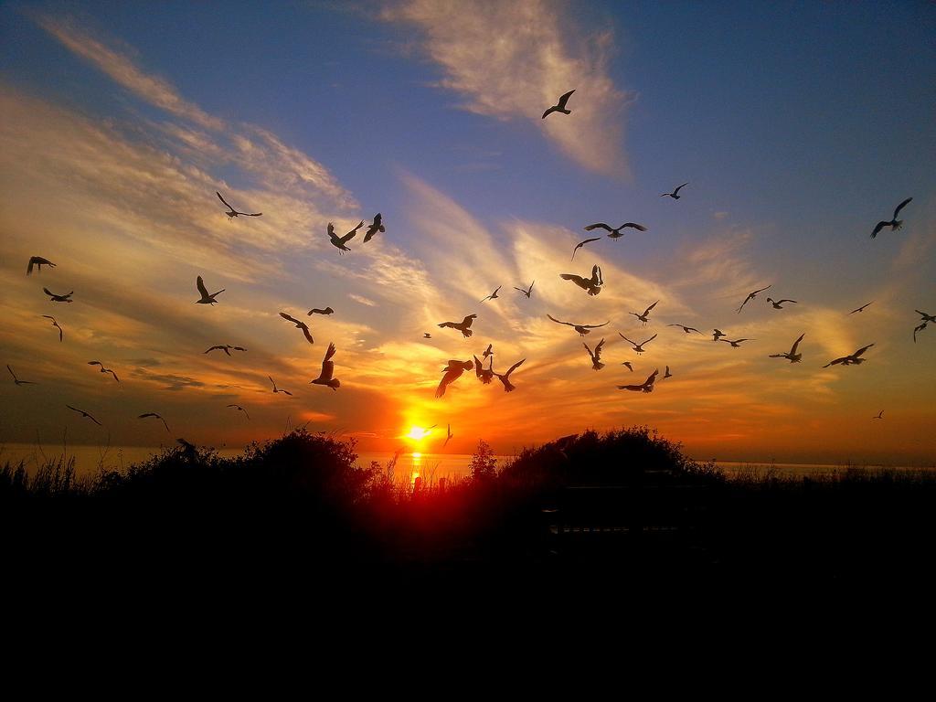 Sunset Guest House Hunstanton Extérieur photo